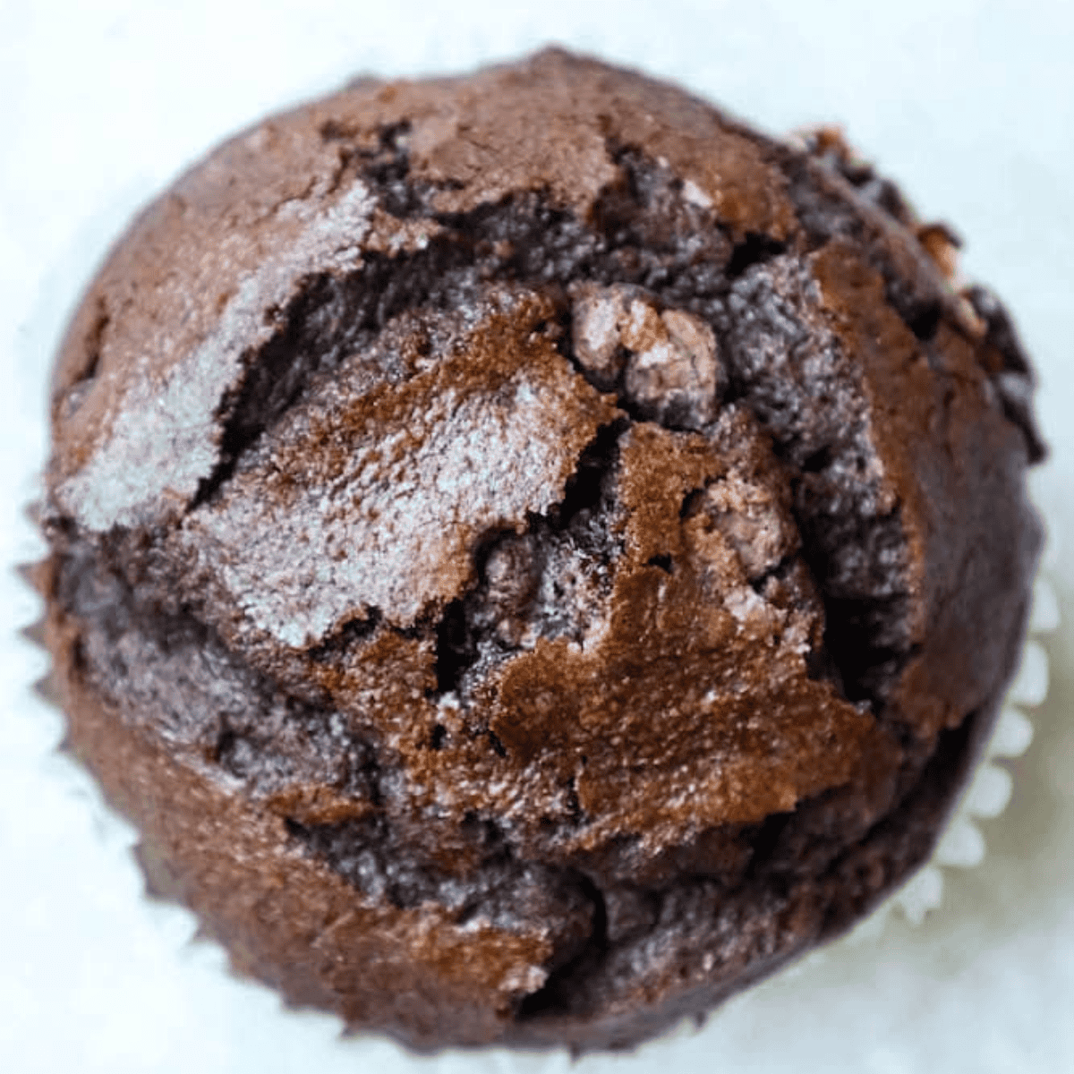 Loaded Double Chocolate Chunk Muffins: Fluffy & Moist Perfection